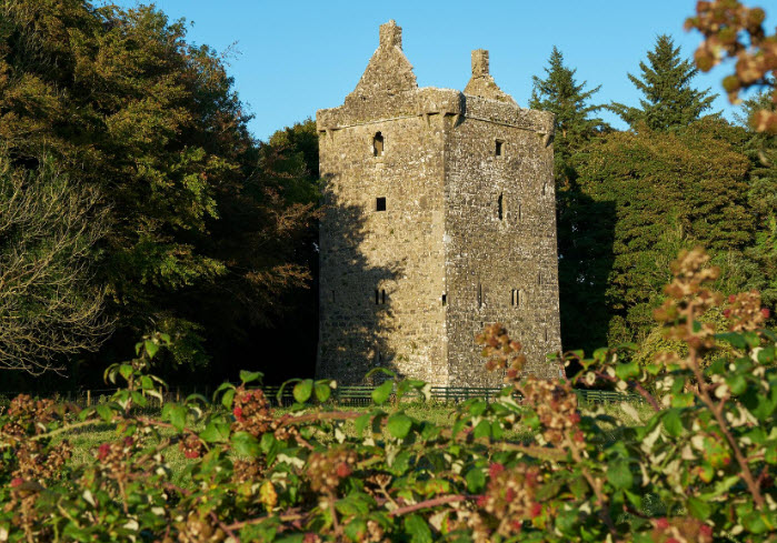 Feartagar Castle, Ireland